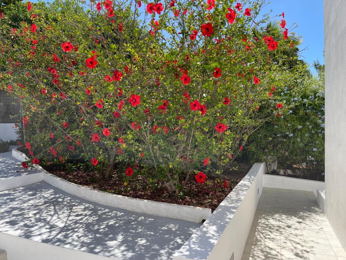 Es Queixal - Can Canet Con Piscina Exterior Climatizada كالا فاديلا المظهر الخارجي الصورة